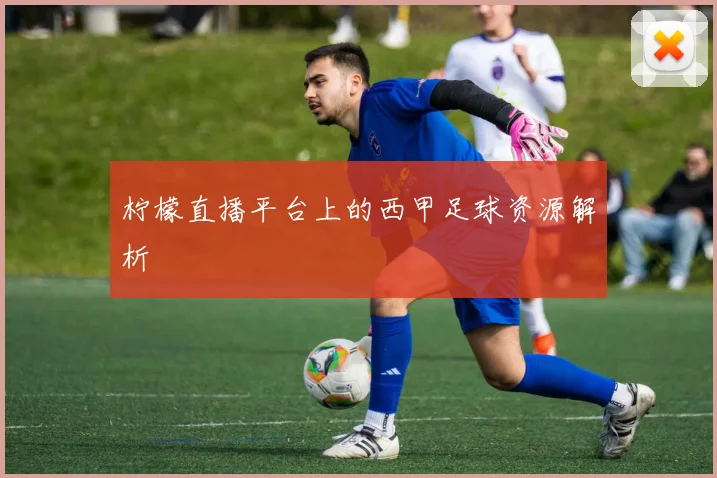 柠檬直播平台上的西甲足球资源解析